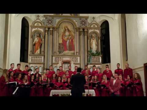 Ralph Vaughan Williams The Turtle Dove Solist Edijan Muhaxheri Hysen Nimani Conductor Ralph Vaughan Williams The Turtle Dove Solist Edijan Muhaxheri Hysen Nimani Conductor