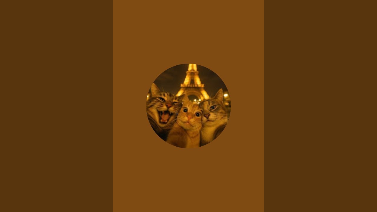 Huzur kanalı canlı yayında