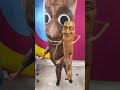 New video by Ryan's World on YouTube