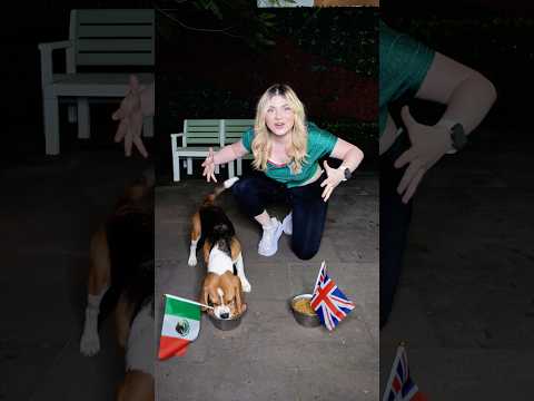 🇲🇽 Mi PERRITA BEBÉ DECIDE si GANA MÉXICO 🇲🇽 el MUNDIAL!! 😱 & Top Salud y Hogar in Mexico