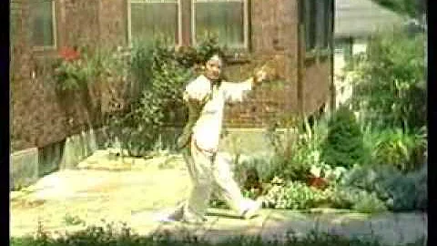 Master Bow Sim Mark performing Leung Yee Chuan