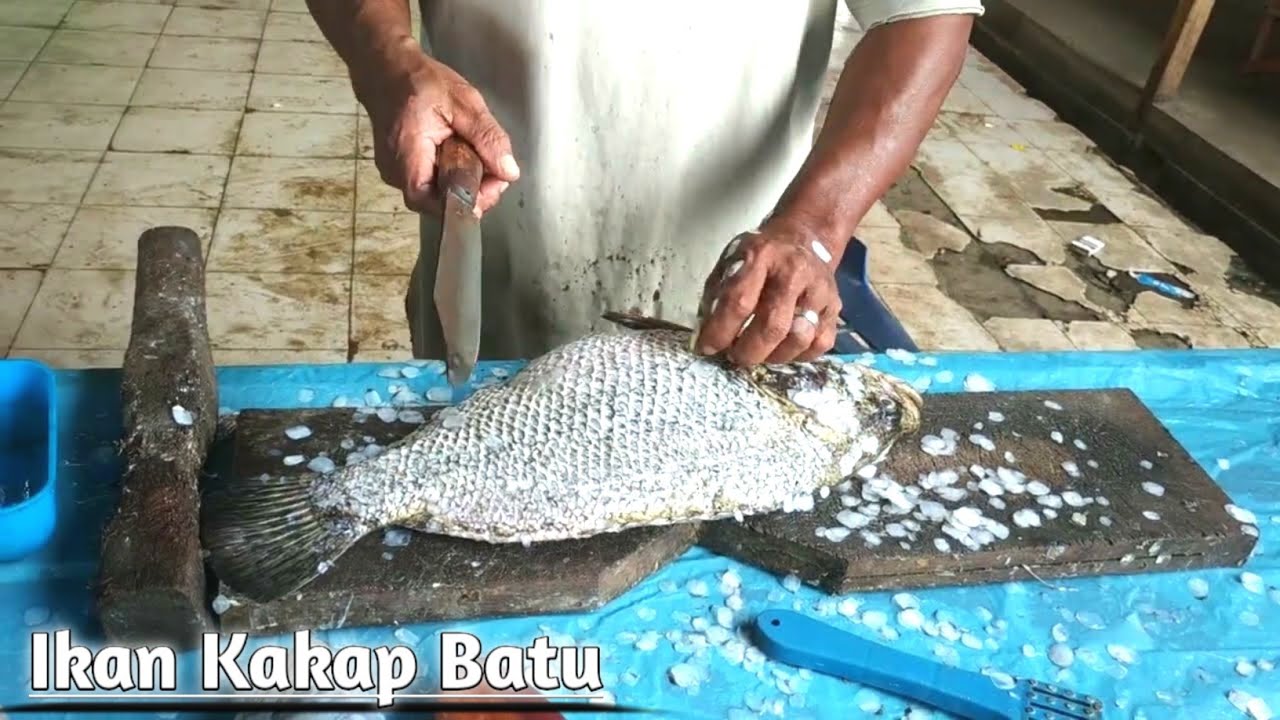 FISH CUTTING❗KAKAP BATU HITAM TRADISIONAL