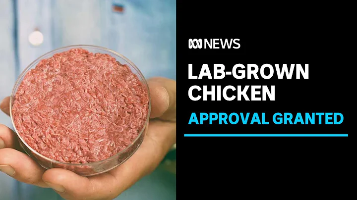 Lab-grown chicken approved for sale by US regulator | ABC News - DayDayNews