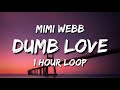 Mimi Webb - Dumb Love (1 Hour Loop)