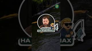 Рыбный бизнес с нуля — реально ли начать?