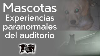 Mascotas, experiencias paranormales del auditorio | Relatos del lado oscuro
