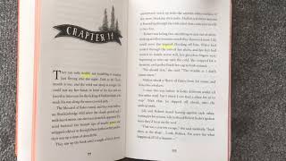 Y4/5 Cogheart - Chapter 14 (Part 1)