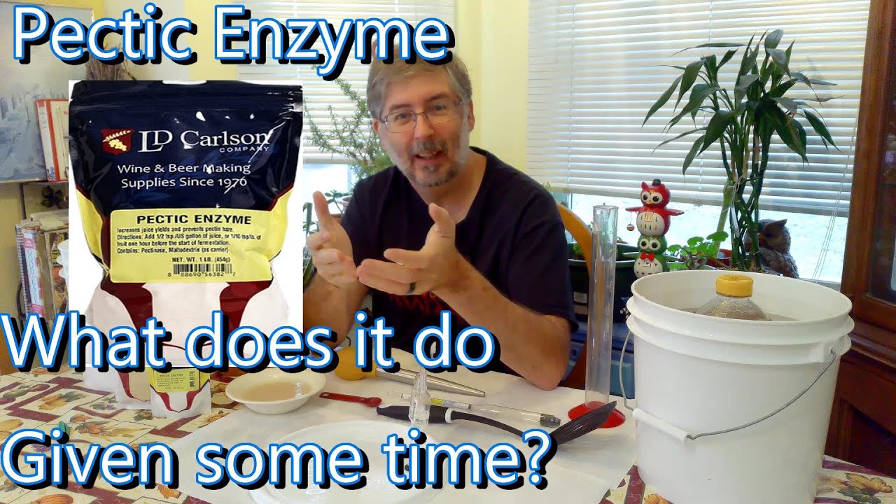 Pectic Enzyme What does it do given some time YouTube