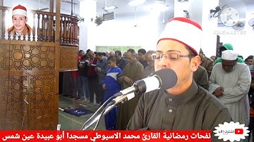 صلاة التراويح من مسجد ابو عبيدة عين شمس القاهرة القارئ محمد الاسيوطي
