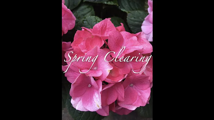 Spring Clearing, Transcendance