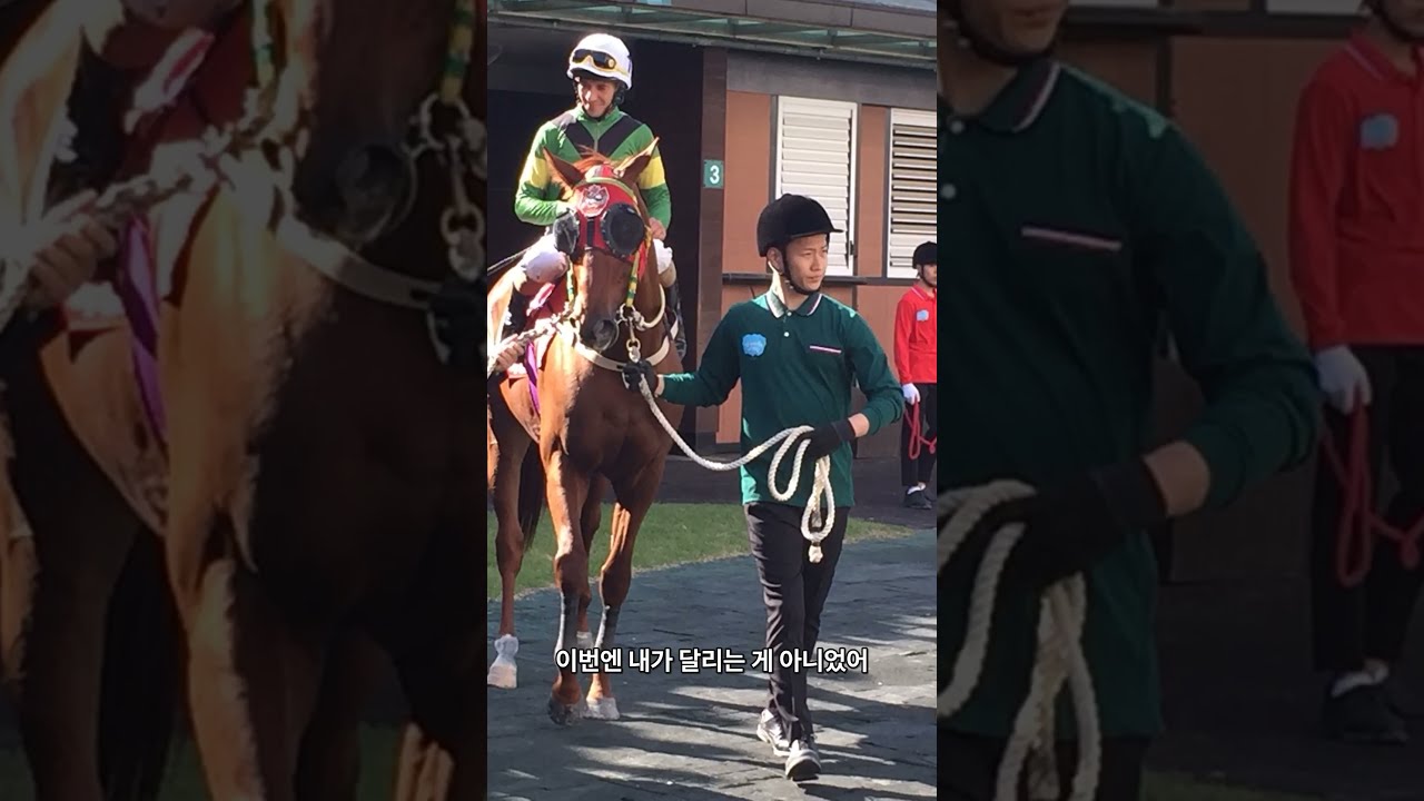 형만 못한 동생이라 불렸지만… 넌 하나뿐인 라이언록 🕊️ #Shorts