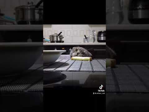Диван подрал и