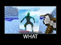 Minecraft wait what meme part 299 realistic minecraft ice block