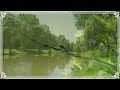 Ref:AI7-b9DbSrM �tang du haut marais (mouy - oise - jeudi 19 juin 2025)