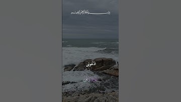 تلاوة عطرة لآيات من كتاب الله #القرآن #الله #اكسبلور #المصحف #foryou #راحة_نفسية #viral #foryou