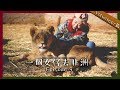 [中字] 與獅子日見夜見的日子💕｜一個女仔去非洲 EP 9｜LIVING WITH THE BIG CATS VLOG｜RedisPolly