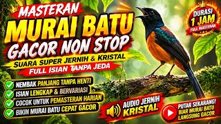 🔥 MASTERAN MURAI BATU GACOR NON STOP 1 JAM | SUARA SUPER JERNIH & KRISTAL | FULL ISIAN TANPA JEDA