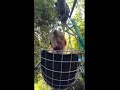 レールから火花出てるしマジ命の危険感じたから普通にリピなしアトラクション😰💦　#malaysia #マレーシア