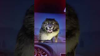 What would you do if you saw a Giant Wolf in your car #wolfgame #shorts