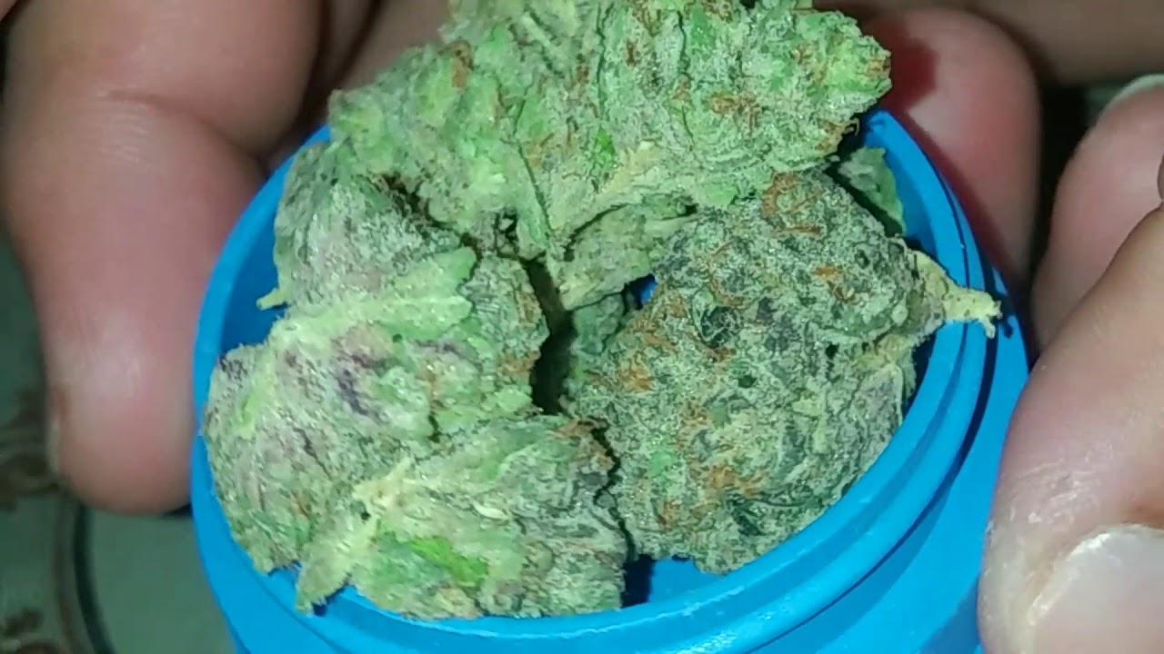 Merzcato By Backpack Boyz 