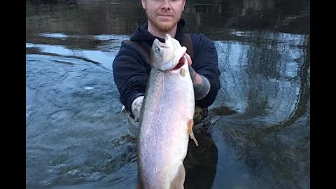 How To Fish The Clinton River!