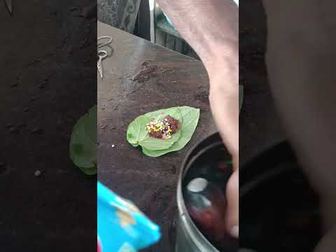 Sweet Beeda Making Video Virlshort Viralvideo Sweet Indian Desisweet Indiansweet