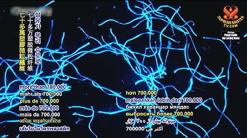 Innovative Ideas for Living More Sustainably, Part 3 of 3