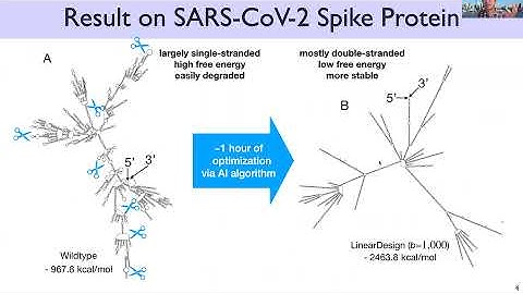 RNATherapeutics 2021: LinearDesign: Efficient Algorithms for Optimized mRNA Vaccine Sequence Design