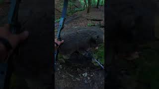 Skill or Luck ? archery park last summer #survival #bushcraft #archery #survivalskills