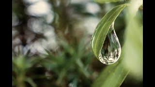 Chopin - ‘Raindrop’ Prelude no.15, op.28