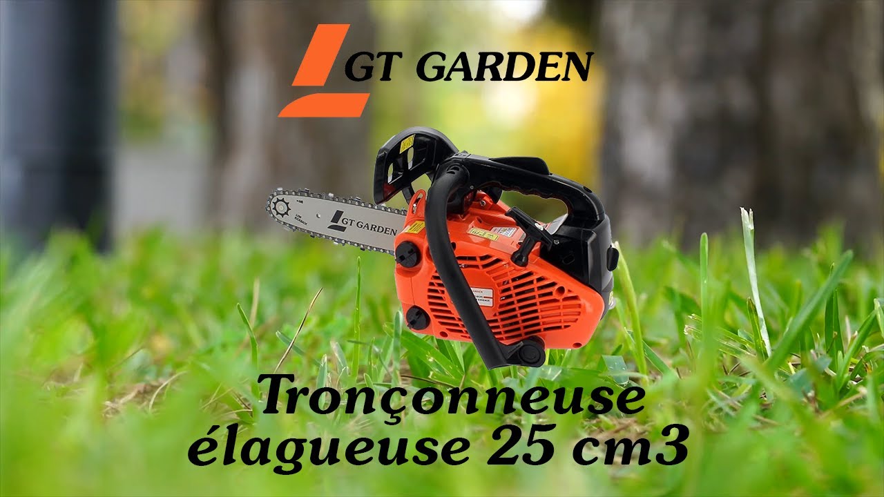 Tronçonneuse élagueuse thermique 25 cm3, 1.2 CV, guide 26 cm, 2 chaînes :  : Jardin