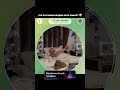Тгк: memeute #мемы #прикол #кружок #мем #приколы #юмор #смешно