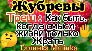 Канал Жубревы Новый Год Канал Жубревы Новый Год