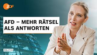 Verbrenner, Migration, Euro: Was plant die AfD? | PolitiX