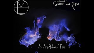 Gabriel Le Mar - An Acidflowin Fire