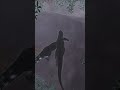 Przez chwilę myślałem że to był błąd... #dinosaur #evrima #theisle #gaming #fyp