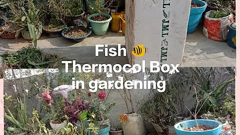Right way to using thermocol Box for vegetables/ch...
