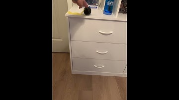 Animation reference: Ball with tail