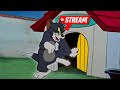 LIVE STREAM TESTING IN ALL TYPES OF GAMES