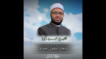 آيات مختارة من سورة النمل