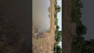 Comment Appelé Le Poisson