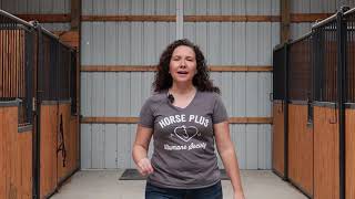 Auction Rescue Tonight!