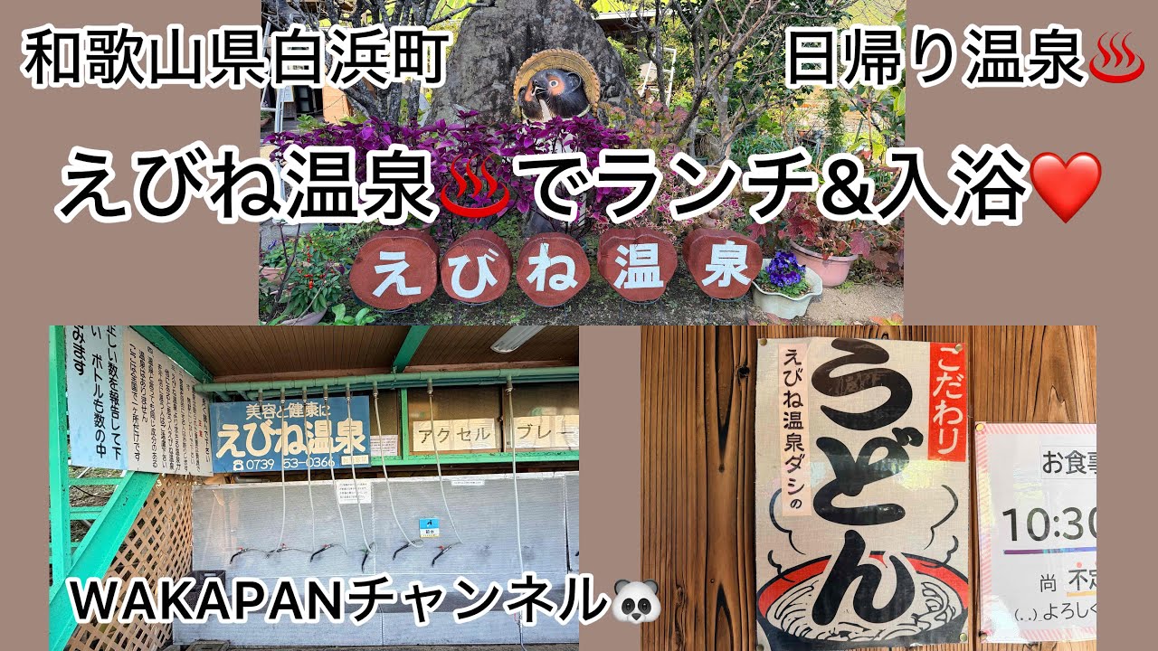 和歌山県白浜町　日帰り温泉♨️えびね温泉♨️でランチ&入浴❤️WAKAPANチャンネル🐼