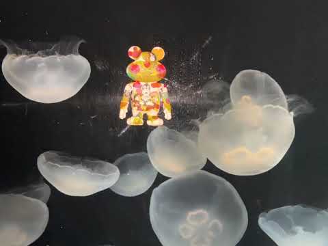 MonkeyMouse · Dive with Jellyfish