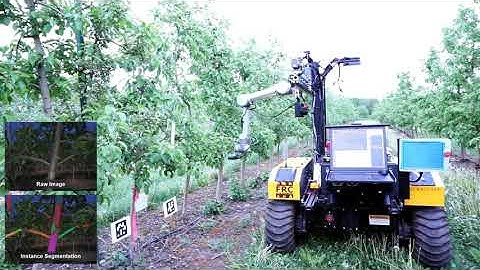 Occlusion Reasoning for Skeleton Extraction of Self-Occluded Tree Canopies