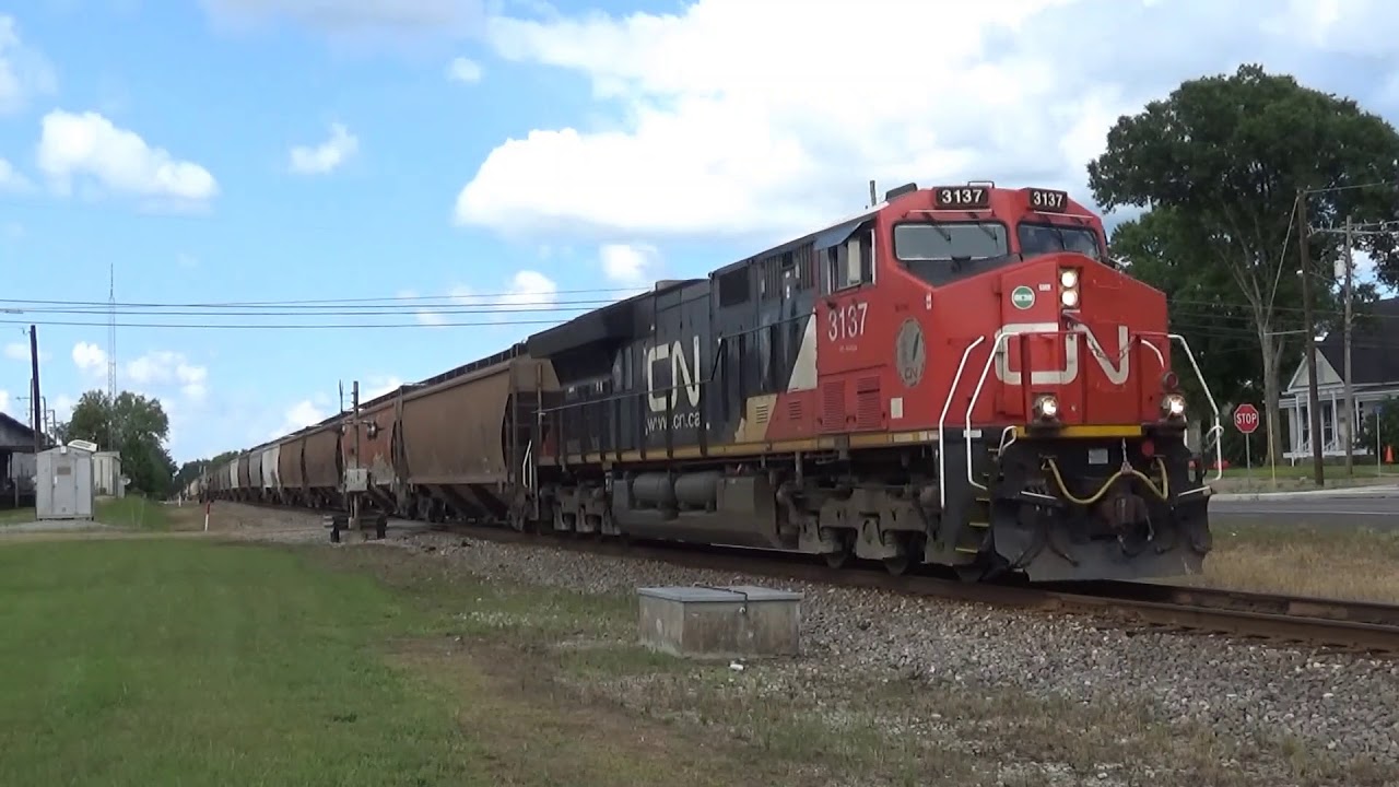 cn3137