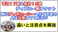 ヒロのdisney Blog Youtube