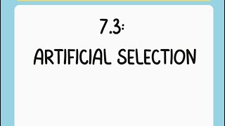 ✨AP Bio Topic 7.3 TikTok: Artificial Selection✨