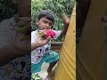 🌿 Dragon Fruit First Harvest | Home Gardening#DragonFruit#Gardening#HomeGarden#FruitHarvest#Organic
