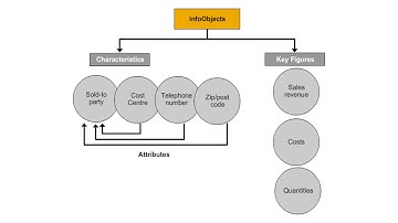 SAP InfoObjects | SAPNotes